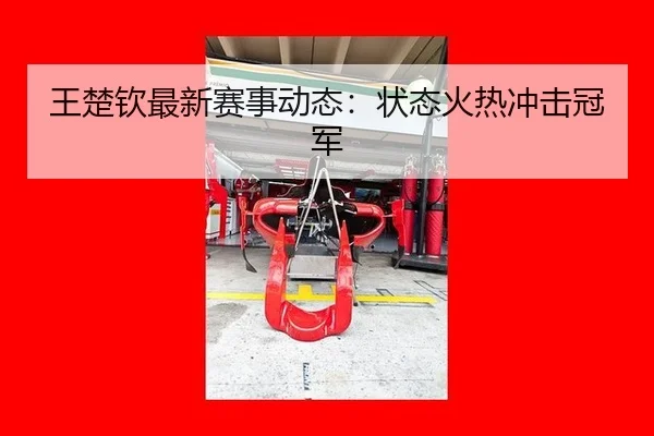 王楚钦最新赛事动态：状态火热冲击冠军